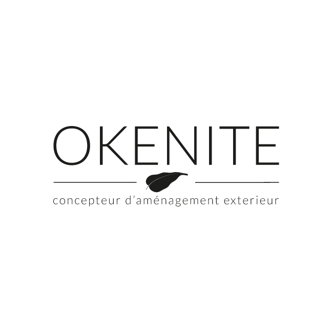 Logo de Okenite Concept